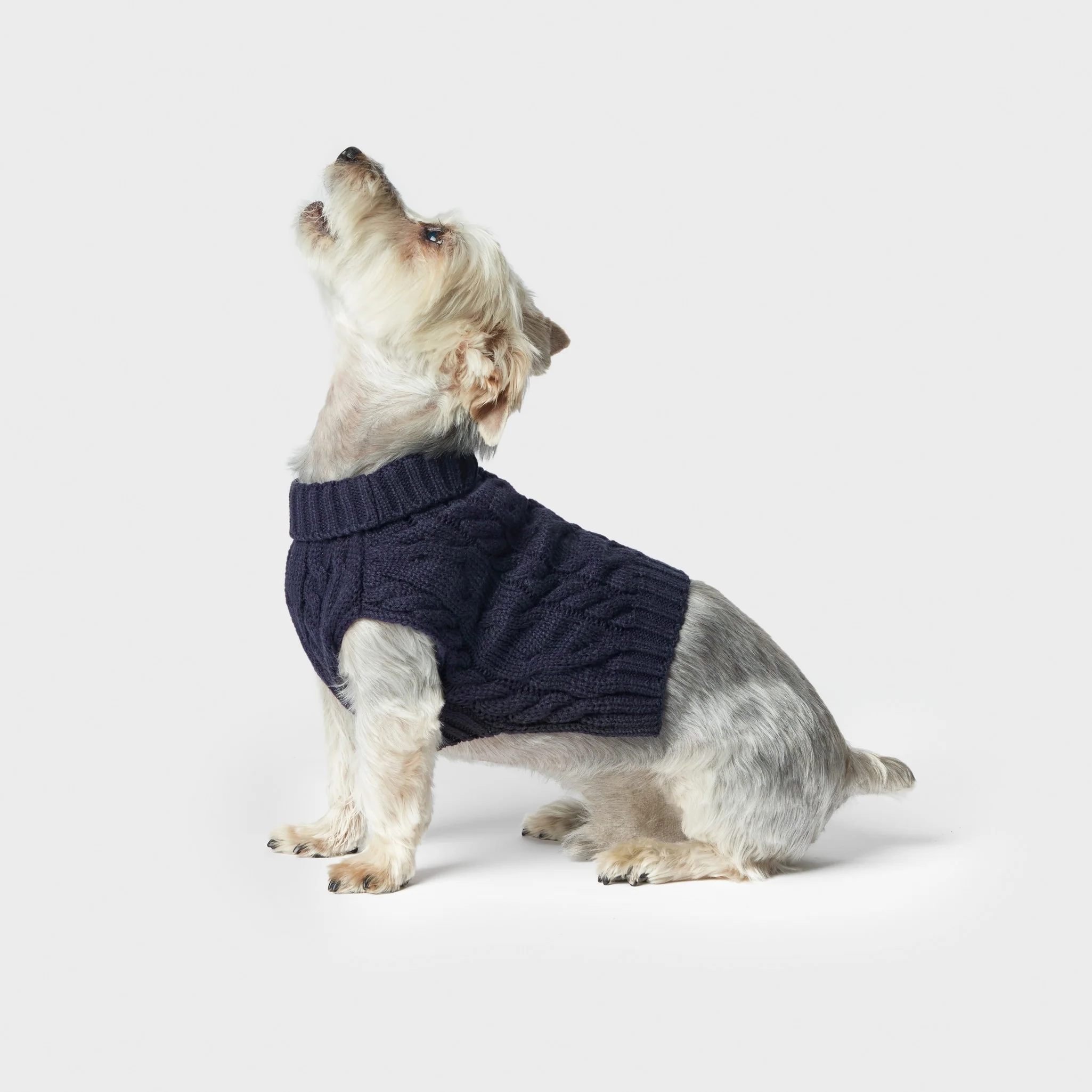 Cable Knit Dog Sweater - Ivory - Image 8