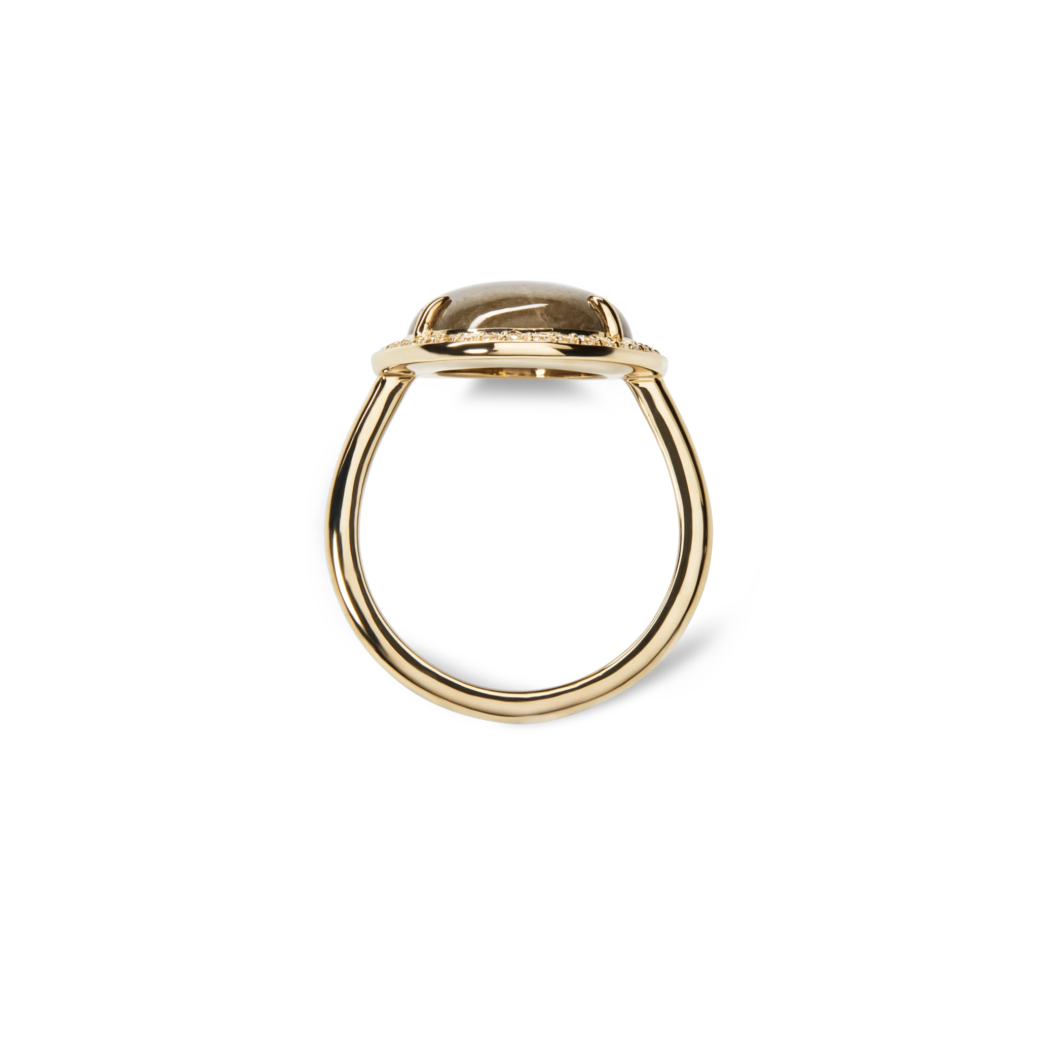 Diamond Pave Oval Petoskey Ring - Yellow Gold - Image 2