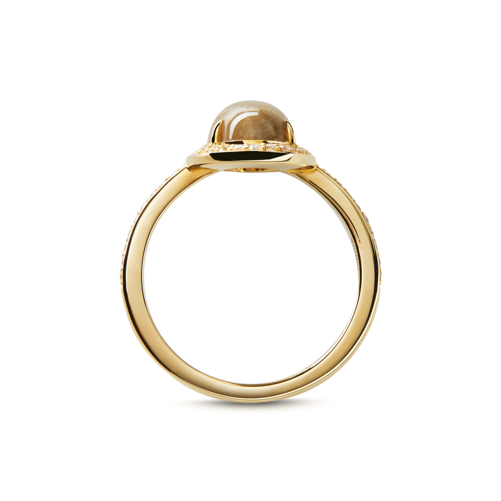 Petite Diamond Pave Petoskey Oval Ring - Yellow Gold - Image 3