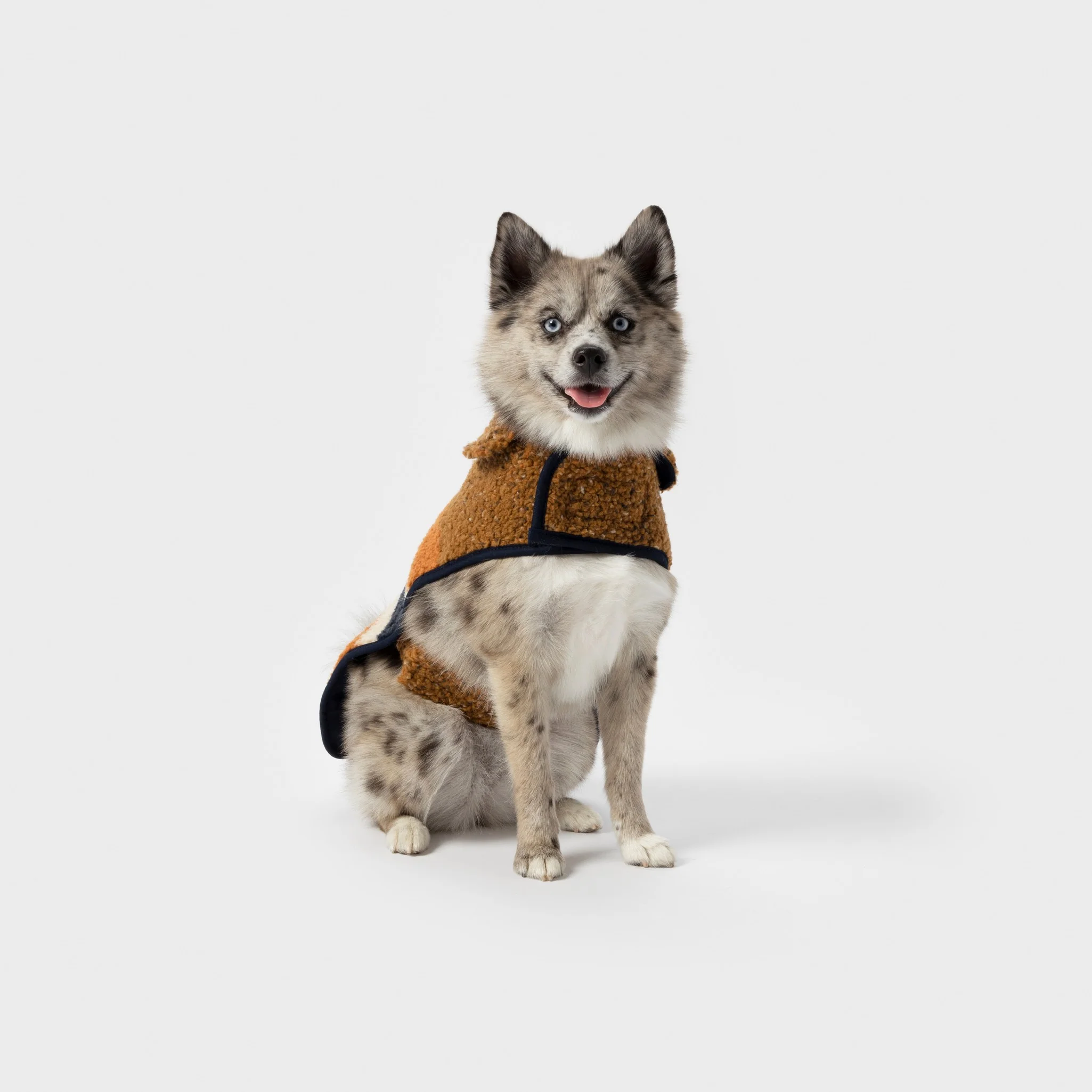 Dog Coat - Brand Stripe / Tan - Image 5